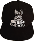 Snapback Caps