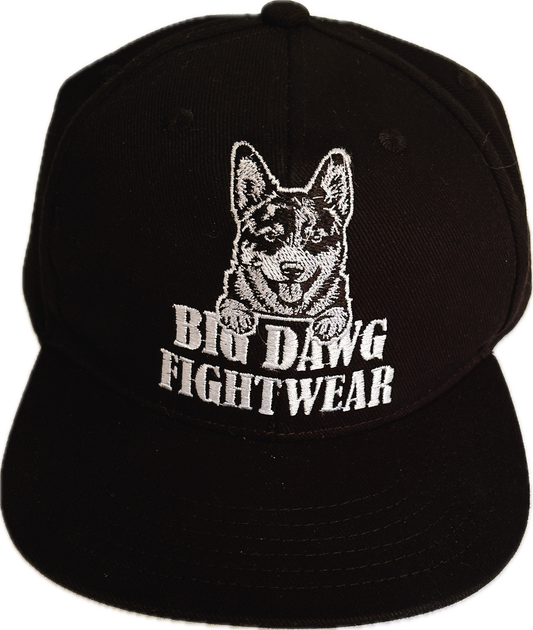 Snapback Caps